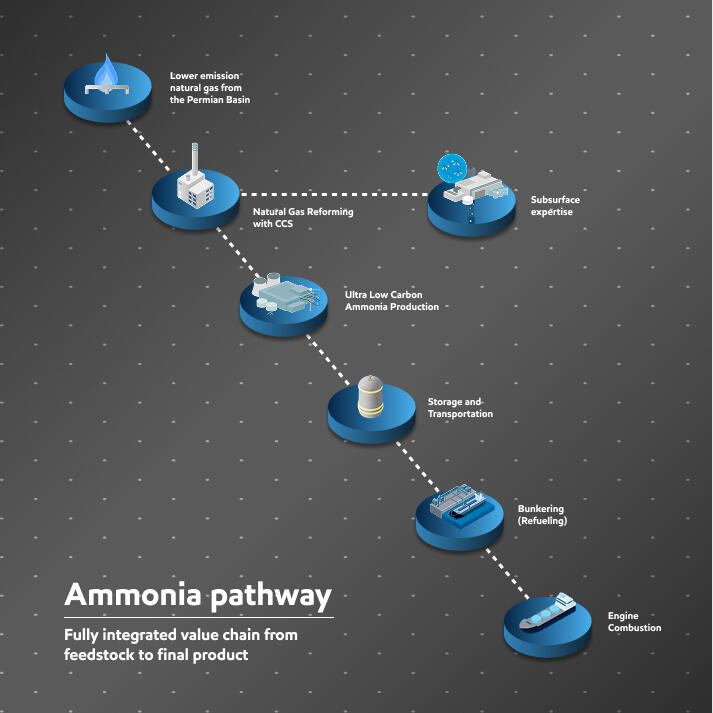 Ammonia pathway illustration
