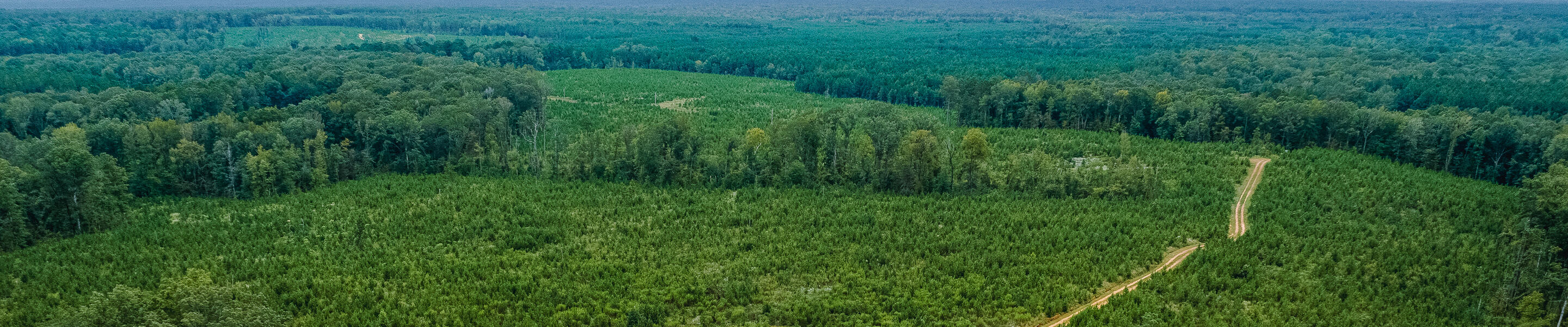 Southwest Arkansas